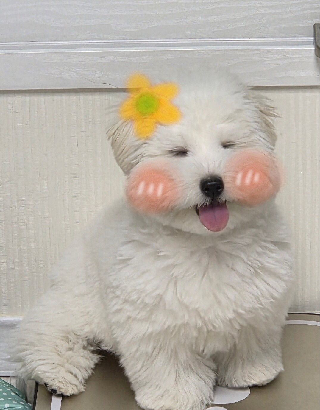 KakaoTalk_20250427_172744081.jpg