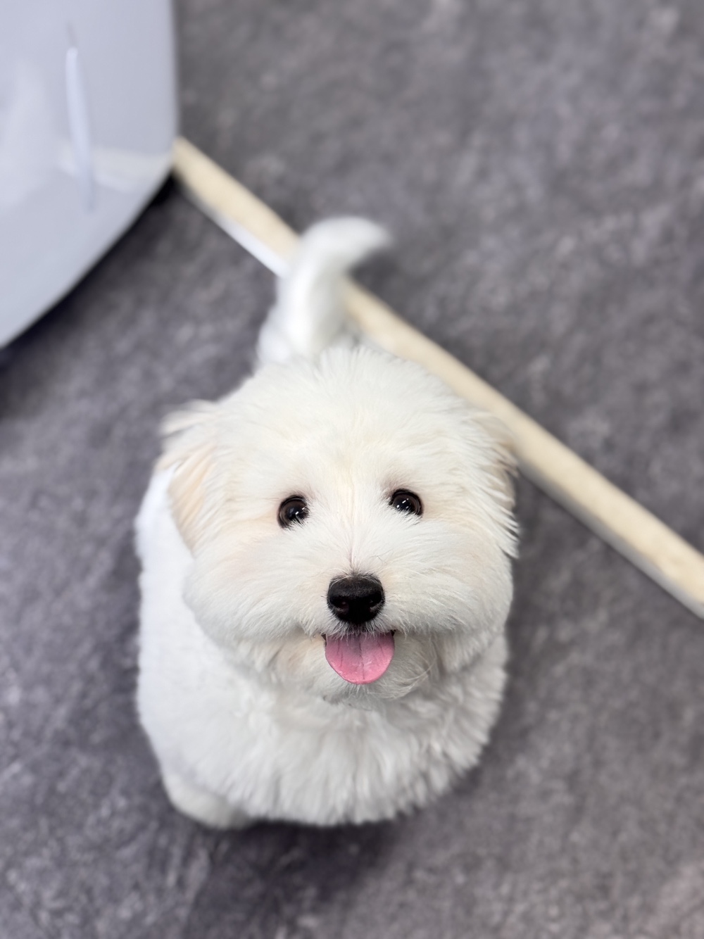 KakaoTalk_20250427_172744081_01.jpg