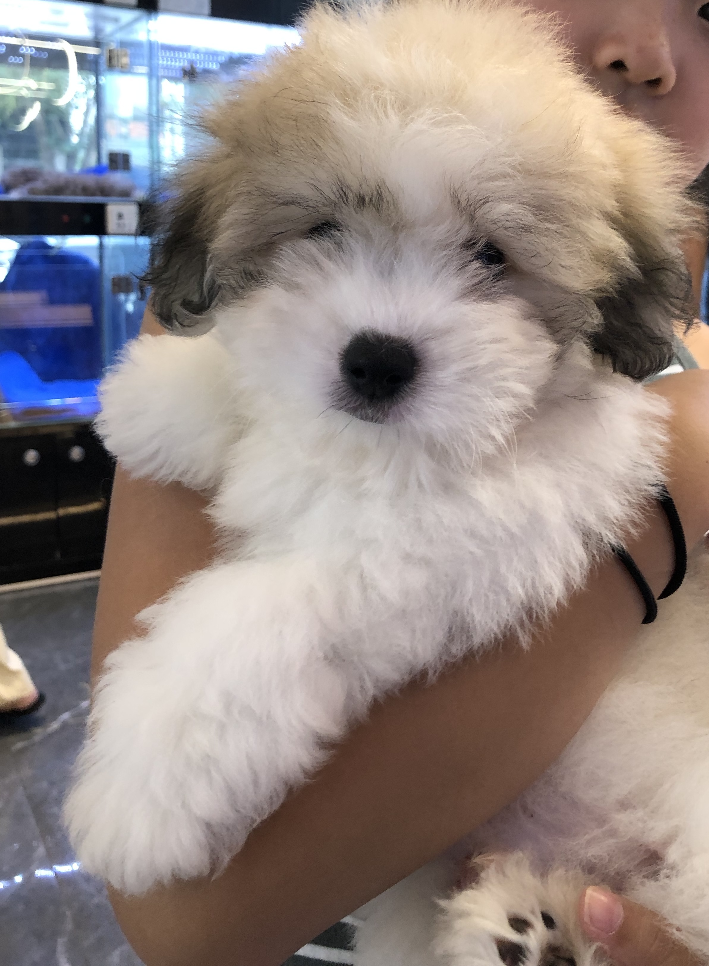 KakaoTalk_20260815_163329705.jpg