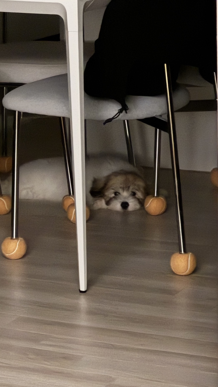 KakaoTalk_20250427_172744081_09.jpg
