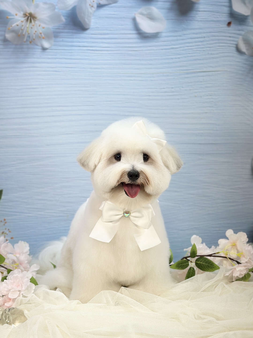 KakaoTalk_20250427_172744081_08.jpg