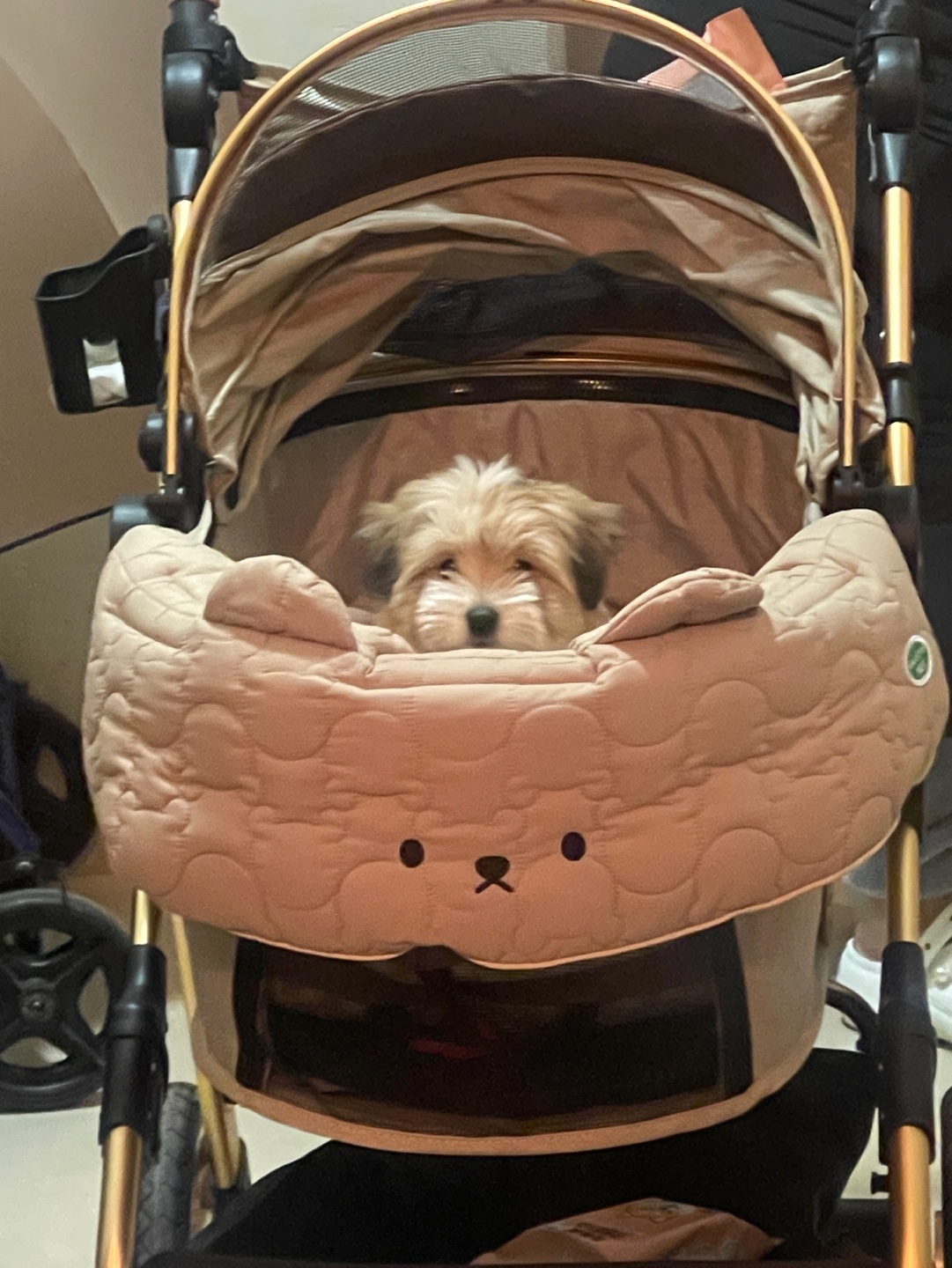 KakaoTalk_20240225_183217554_03.jpg
