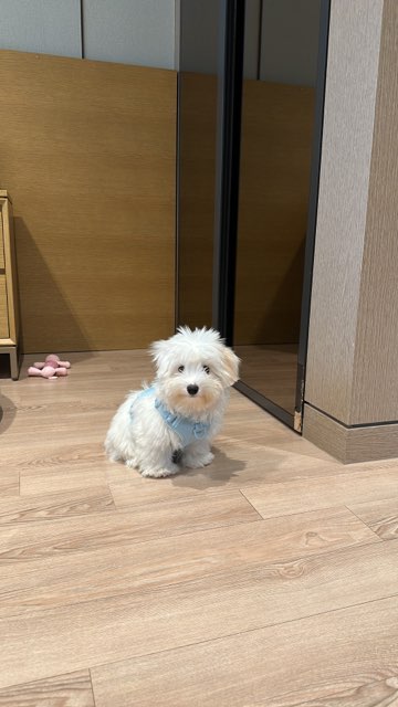 KakaoTalk_20240227_130020547.jpg