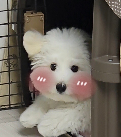 KakaoTalk_20250427_172744081_02.jpg