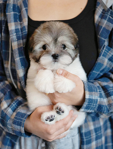 봉봉이 (BongBong-i)