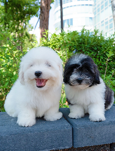 유키&키키 (Yuki&Kiki)