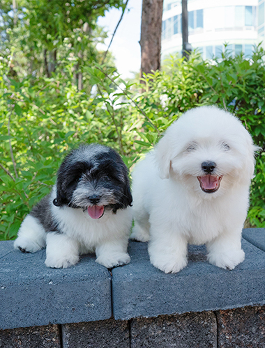 유키&키키 (Yuki&Kiki)