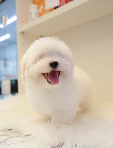 유키&키키 (Yuki&Kiki)