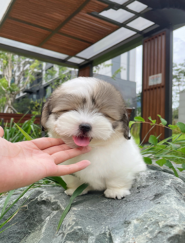 베티(Betty)